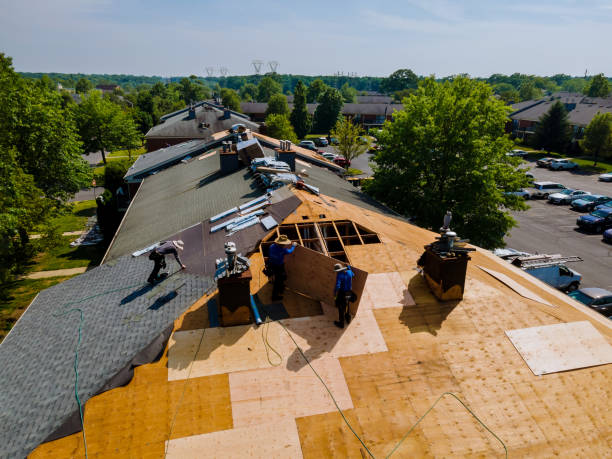 Gutter Installation and Roofing in Caryville, TN