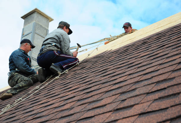 Best Shingle Roofing Installation  in Caryville, TN