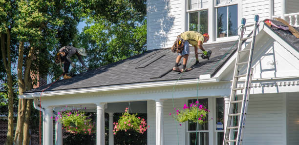 Best Local Roofing Companies  in Caryville, TN