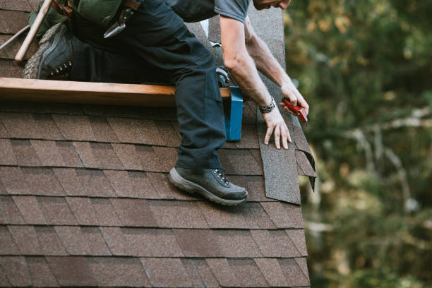 Best Best Roofing Contractors  in Caryville, TN